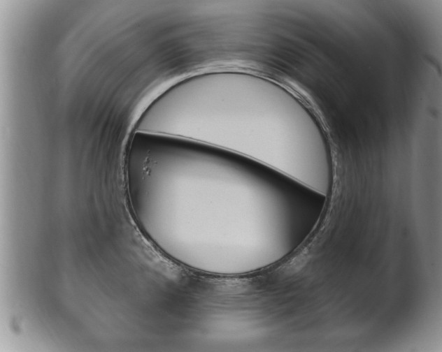 X0000102501192200808080938