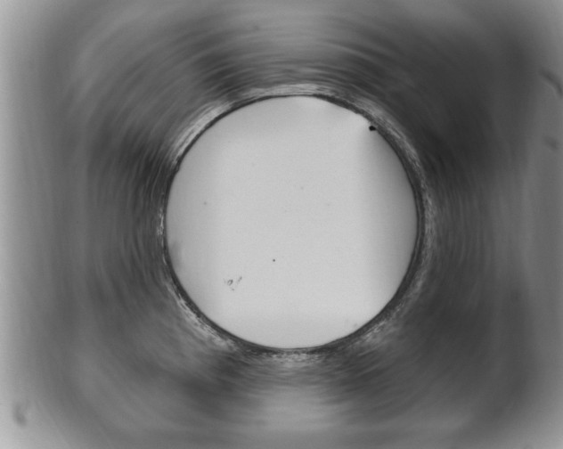 X0000102501193200808080938