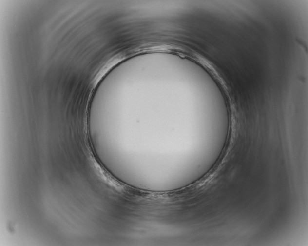X0000102501194200808080938
