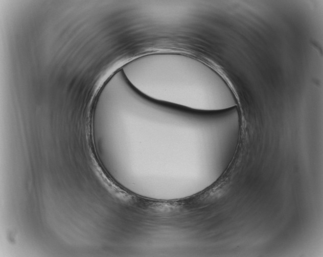 X0000102501195200808080938