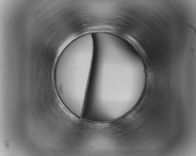 X0000102501196200808080938