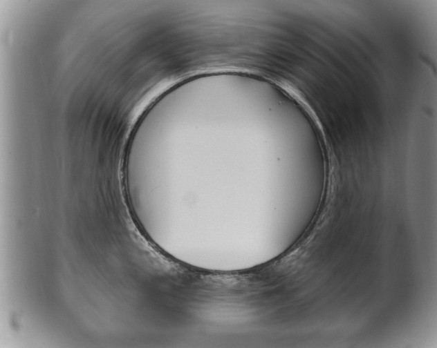 X0000102501197200808080938