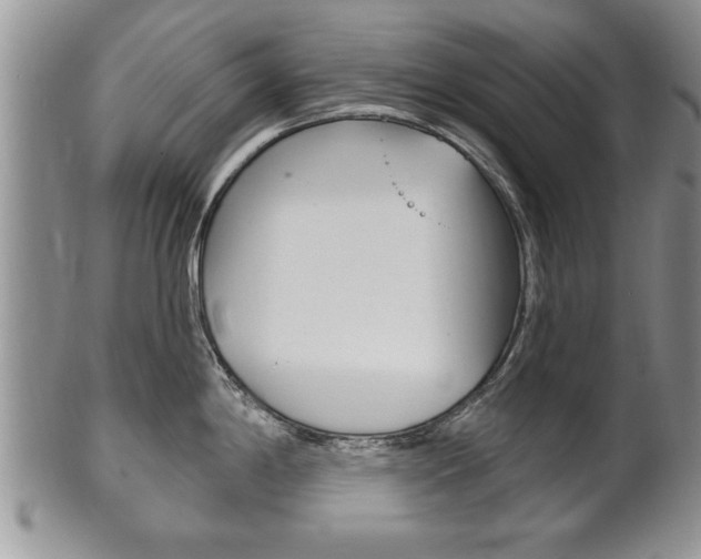 X0000102501198200808080938