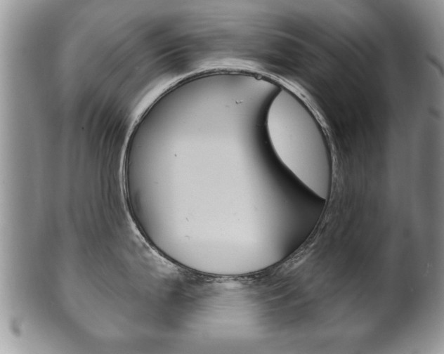 X0000102501199200808080938