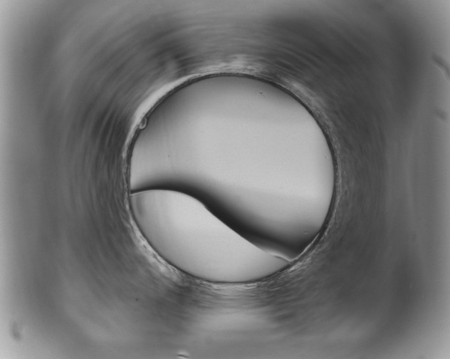 X0000102501200200808080938
