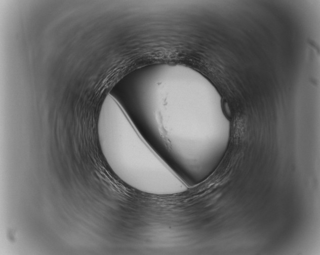 X0000102501202200808080937