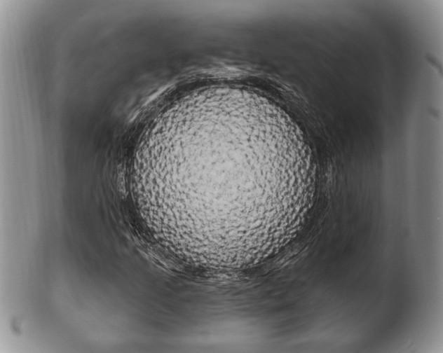 X0000102501205200808080937