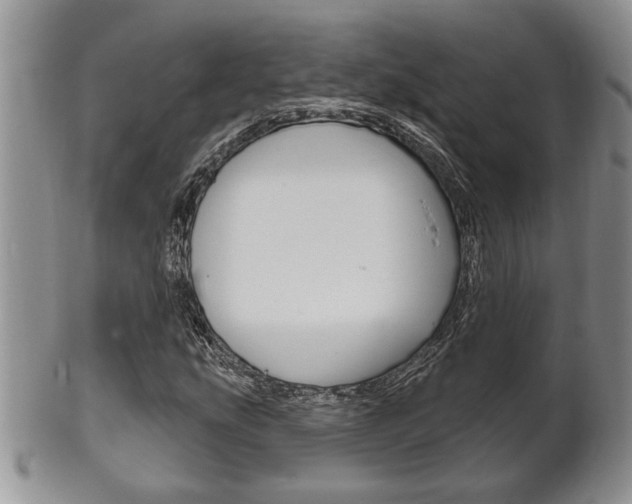 X0000102501207200808080937