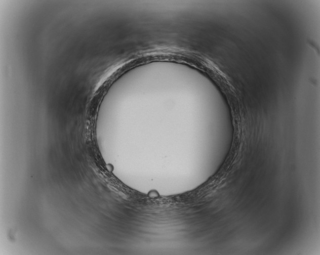 X0000102501208200808080937