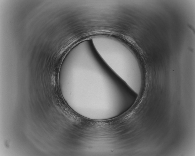 X0000102501209200808080937