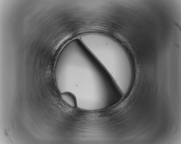 X0000102501210200808080937