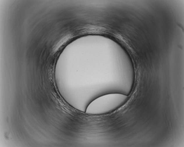 X0000102501211200808080937