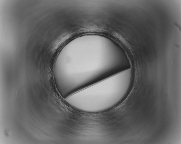 X0000102501213200808080937