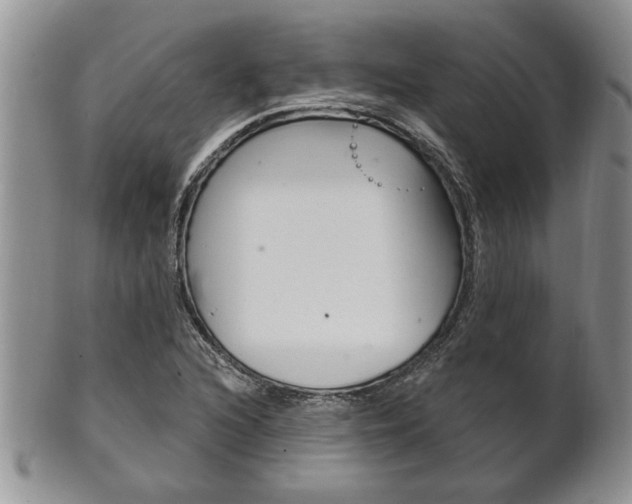 X0000102501216200808080937