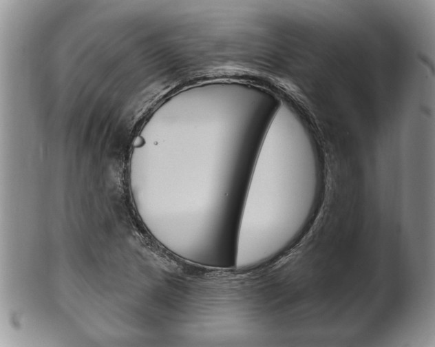 X0000102501217200808080937