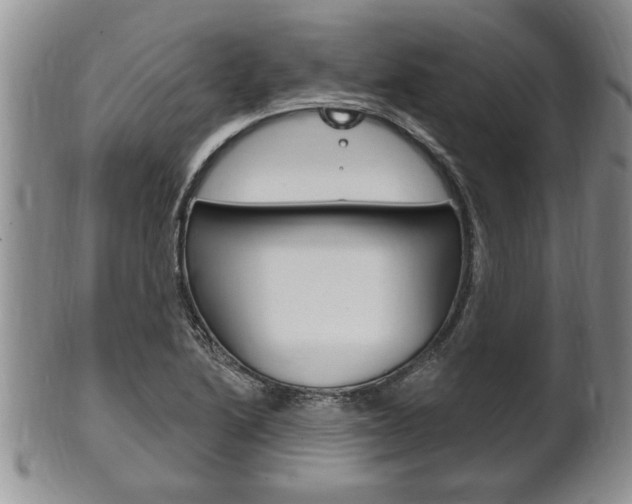 X0000102501222200808080937
