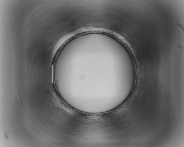 X0000102501223200808080937