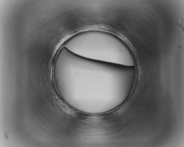 X0000102501224200808080937