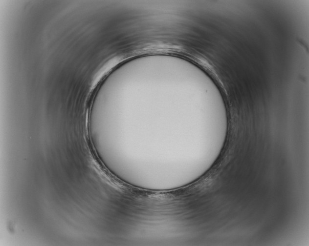 X0000102501227200808080937