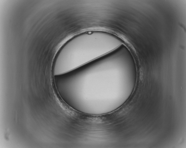 X0000102501229200808080937