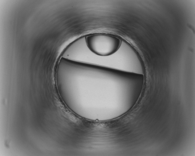 X0000102501230200808080937