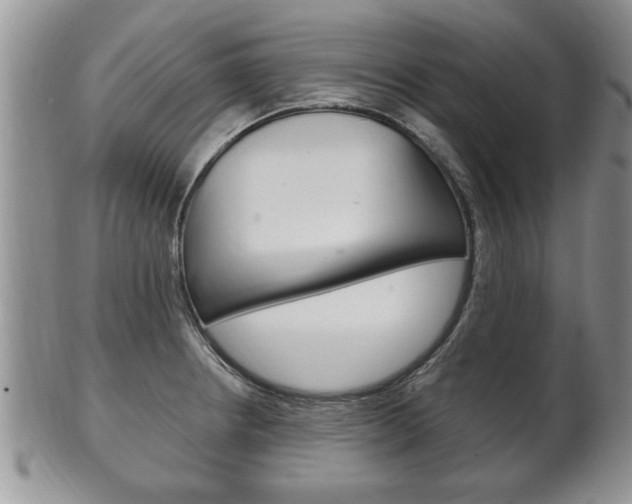 X0000102501234200808080937