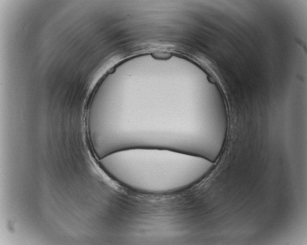 X0000102501235200808080937