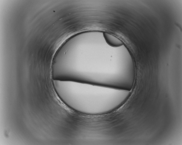 X0000102501236200808080937