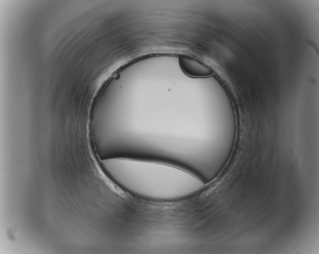 X0000102501237200808080937