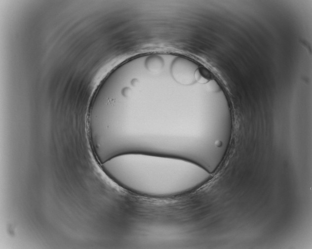 X0000102501239200808080937
