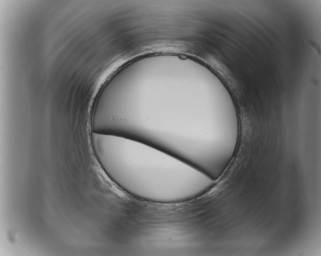X0000102501240200808080937
