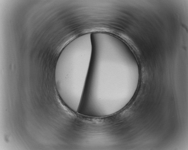 X0000102501241200808080937