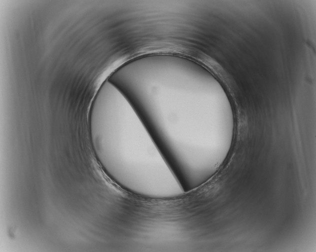 X0000102501242200808080937