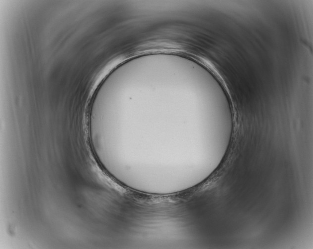 X0000102501243200808080937