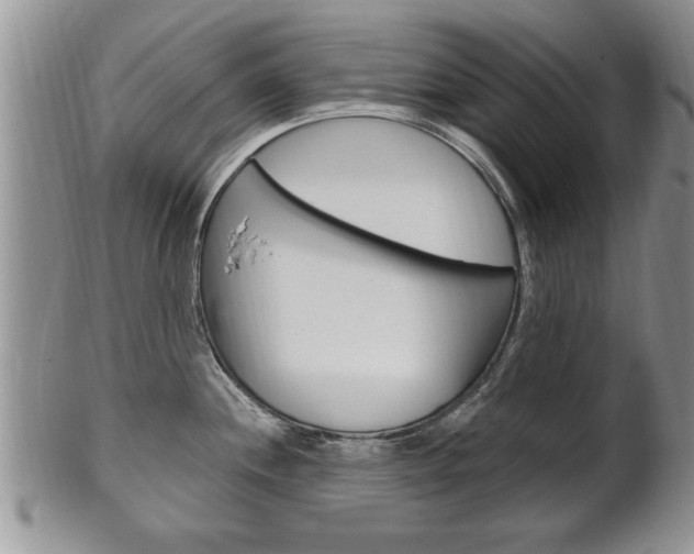 X0000102501244200808080937