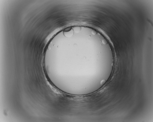 X0000102501245200808080937
