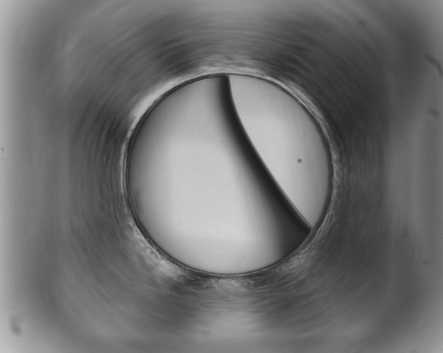 X0000102501246200808080937