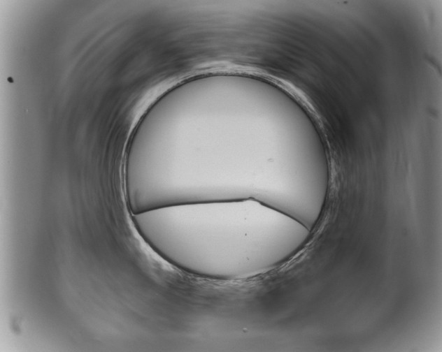 X0000102501247200808080937