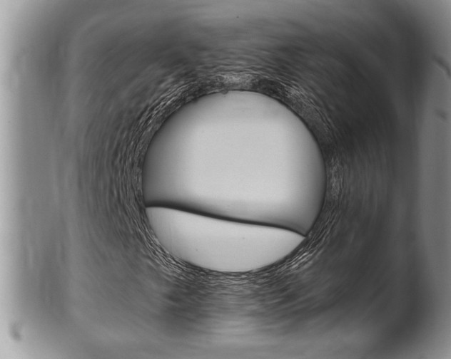 X0000102501249200808080937