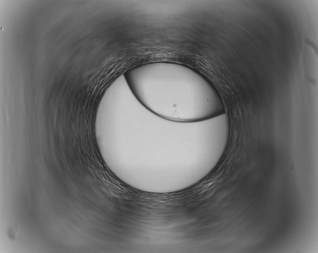 X0000102501251200808080937