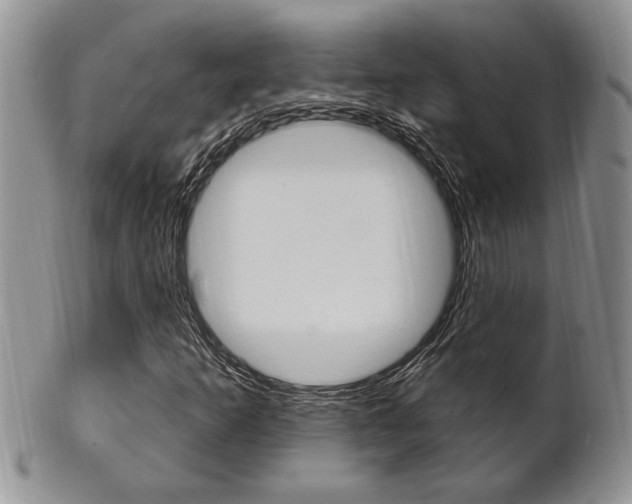 X0000102501253200808080937