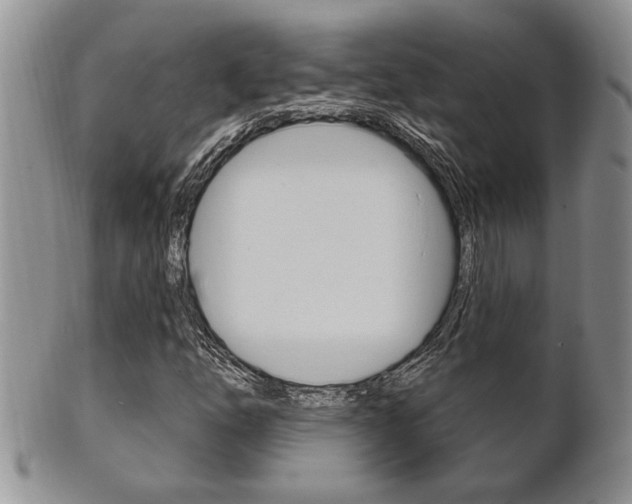 X0000102501254200808080937