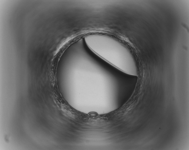 X0000102501256200808080937