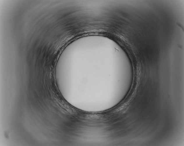 X0000102501257200808080937