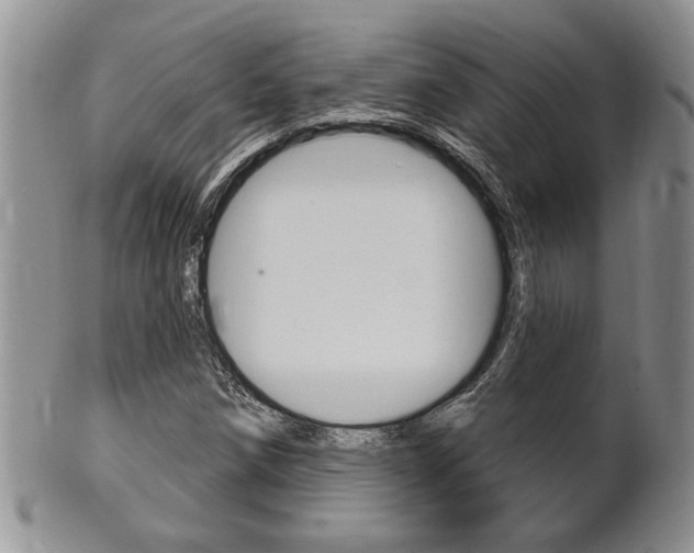 X0000102501258200808080937