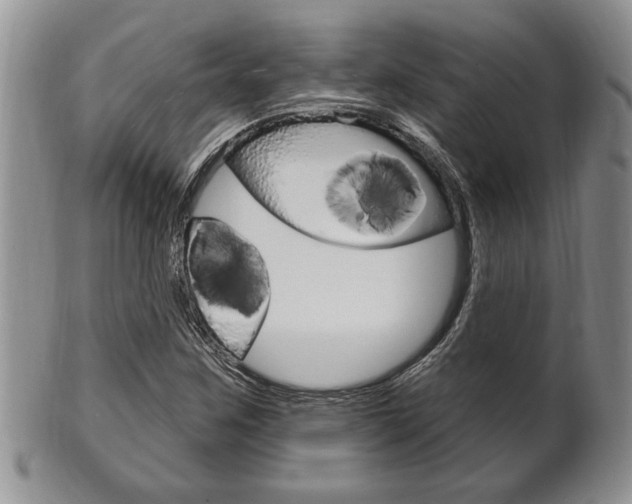 X0000102501259200808080937