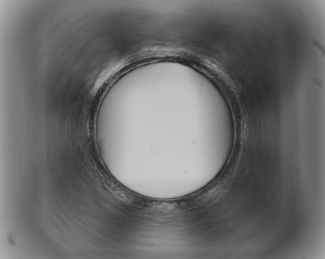 X0000102501261200808080937