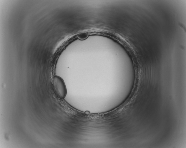 X0000102501262200808080937