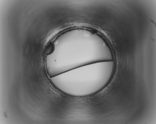 X0000102501263200808080937