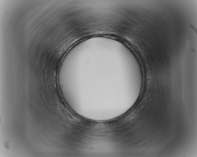 X0000102501265200808080937
